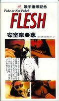 FLESH 安室奈○恵(FLE07)