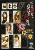 柏木塾窒息の章総集編(DVD)(KJ-14)