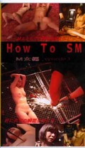 HOW TO SM M女編(MJ-003)