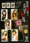 ��©�ξ�������(DVD)(KJ-14)