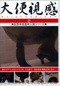 大便視感壱(DVD)(DLR-01)