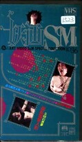 淫乱電気人形 堀真由美(1036)