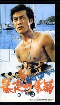 暴走の季節 岩城滉一(TE-B249)