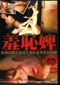 M�ζˡ����չ(DVD)(SCP-084)