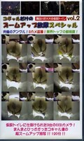 コギャルだけのズームアップ放尿スペシャル vol.2(SHW-002)