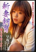 新妻飼育 早坂ひとみ(DVD)(REDSD-004)