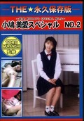 THE永久保存版 小嶋美愛スペシャル NO.2(DVD)(DDSP-16)