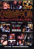 4н145cmߥ˥꾯Ф(DVD)(FIR-032)