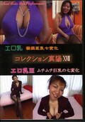 コレクション真陽 XVII エロ乳(DVD)(DSY-17)