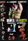 緊縛美 16濡木痴夢男の緊美研ビデオ(DVD)(FHS-16)