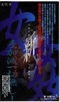 新 女姦 Vol.3(SB-003)