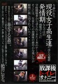 放課後トイレオナニープレミアムコレクション 6(DVD)(DKTP-10)