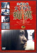 実録盗撮女子校生痴漢(DVD)(DJT-01)