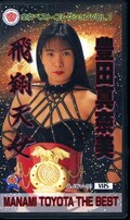 飛翔天女 豊田真奈美(AJWV-701)