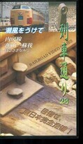 列車通り 28 潮風をうけて 内房線館山→蘇我(EJRV-0130)