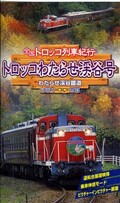 トロッコわたらせ渓谷号(AFVZ-1097)