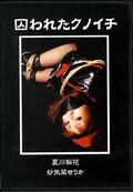 囚われたクノイチ 夏川梨花 紗矢菜せりか(DVD)(DCCP-023)