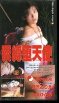 緊縛堕天使 (OT173009)