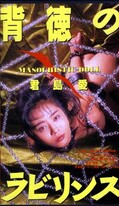 背徳のラビリンス 君島愛(VS-134)