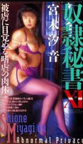 奴隷秘書 XI 宮木汐音(VS-393)