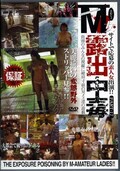 MϪ PART-17(DVD)(DFTC-17)