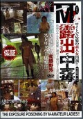 M女露出中毒 PART-17(DVD)(DFTC-17)
