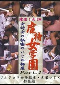 虐待女学園 女対女のいじめ部屋 1 (DVD)(AMZD-01)
