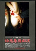 極悪集団痴漢 vol.1(DVD)(DGSC-001)