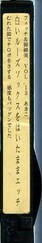 フェッチ&脚線美 VOL.13 あさこ