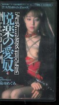 悦楽の愛奴 麻田めぐみ(A-0138)