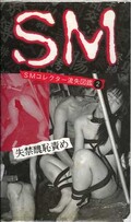 SMコレクター流失図鑑 2(JS-2)