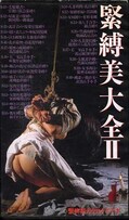 緊縛美大全 II(VS-355)
