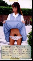 平成ドキドキ女学園 4 −桃色女子高制服図鑑ー(DJ-04)