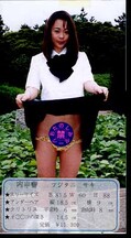 平成ドキドキ女学園 12 −桃色女子高制服図鑑ー(DJ-12)