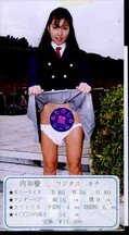 平成ドキドキ女学園 20 −桃色女子高制服図鑑ー(DJ-20)