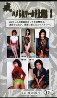 戒ハメられワールド大図鑑 2(HZ-02)