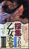 採集された乙女たち III(CN-29)