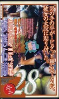 痴漢伝説 28(GR-028)