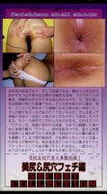 SECRET COLLCTION 美尻&尻穴フェチ編(CO-04)