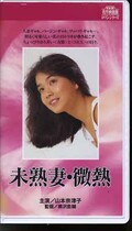 未熟妻・微熱 山本奈津子(R-206)