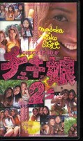 チェキッ娘 2(Ch-009)