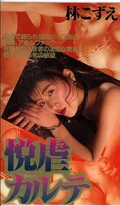 悦虐カルテ 林こずえ(VS-90)