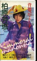 柏原芳恵 背徳のマドンナ(IV-1060)