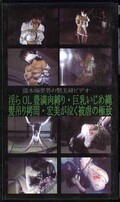 淫らOL豊満肉縛り・巨乳いじめ縄 髪吊り拷問・宏美が泣く被虐の極致(O-154)