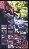 ス・ゴ・パ・ン 1(XX-01)