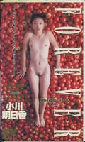 FOREVER 小川明日香(TJ-027)