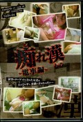 痴れ漢ー電車編ー(DVD)(TOCM-04)