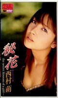 秘花 西村萌(IG-51)