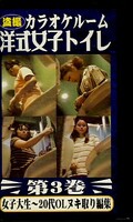 盗撮カラオケルーム洋式女子トイレ 第3巻(FHP-03)