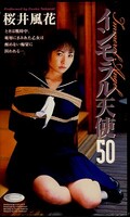 インモラル天使50 桜井風花(VS-666)